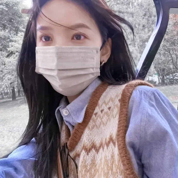 挎斗摩托车里的狗