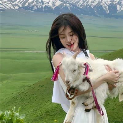 间谍过家家第一季